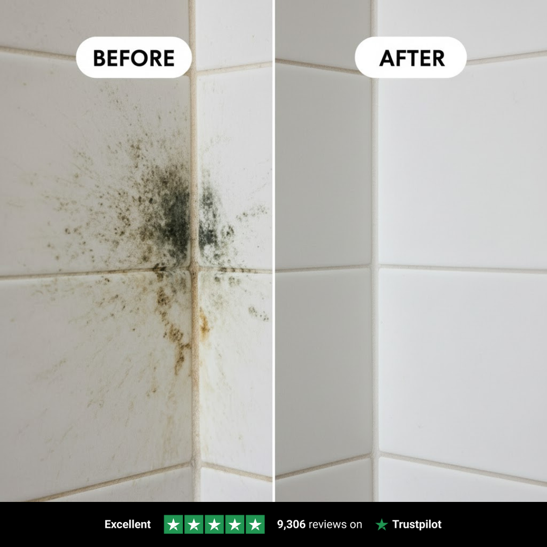 🏆 #1 Best Selling Mold Remover Gel